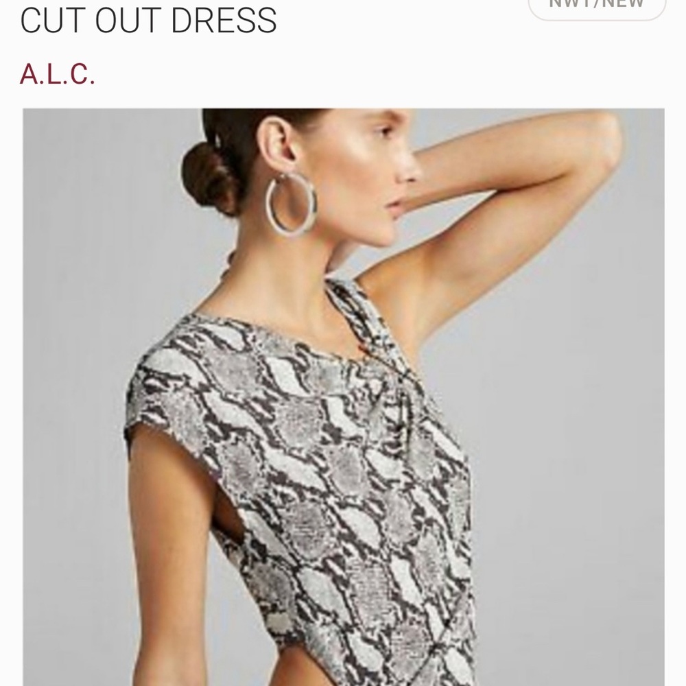 A.L.C Beale snake print midi dress with cutout. Sz 6. BNWT - Picture 5 of 9